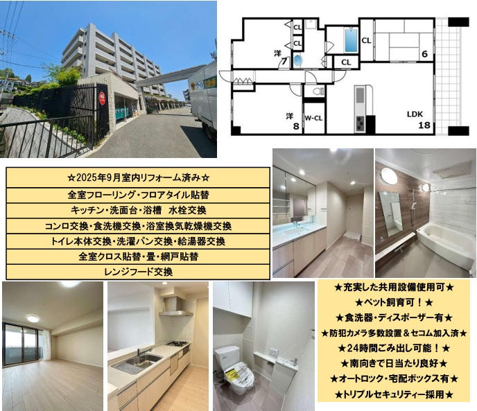 41653画像