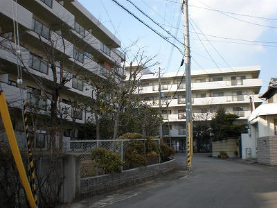 41272画像