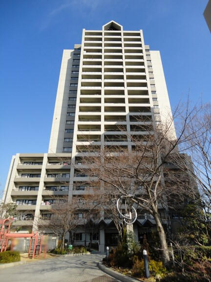 40976画像