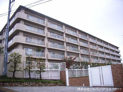 40029画像