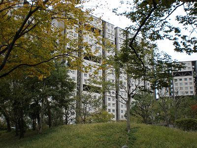 40104画像