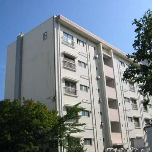 40711画像