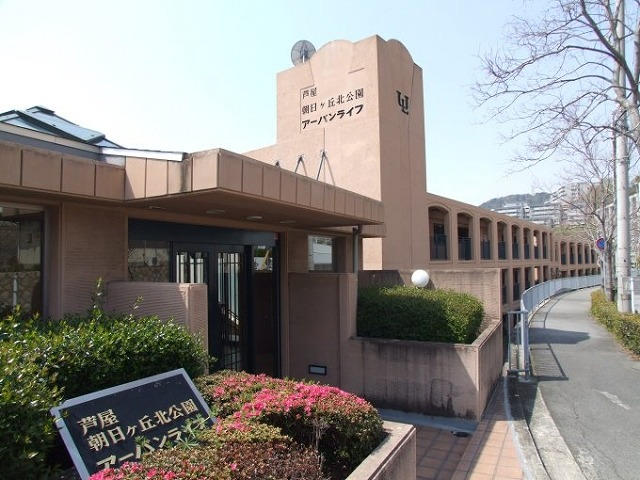 41068画像