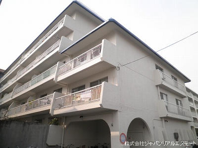 41076画像