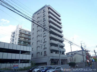 41344画像