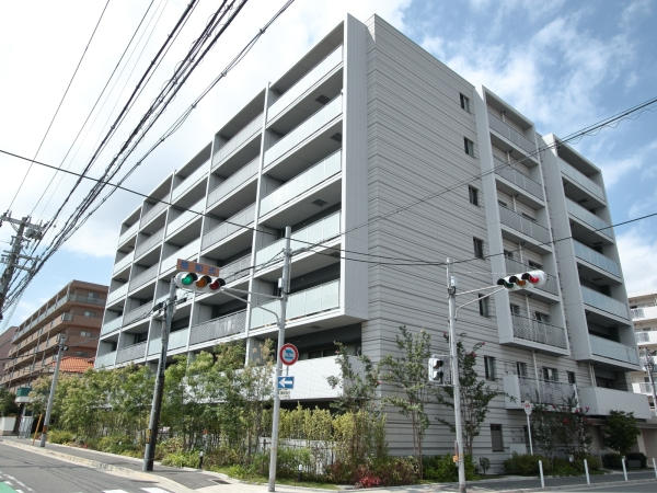 41906画像