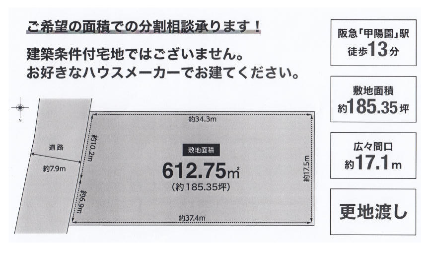 36031画像